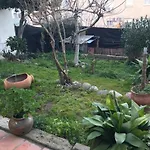 Veletas